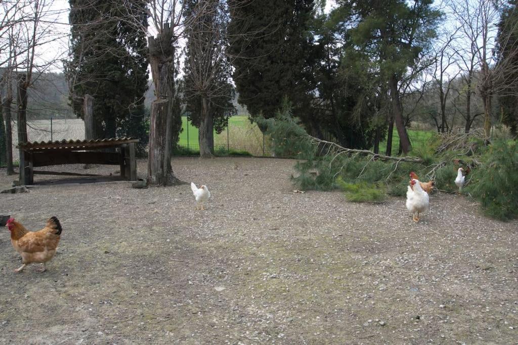 Casa Vacanze Podere San Giusto โวลแตร์รา ภายนอก รูปภาพ