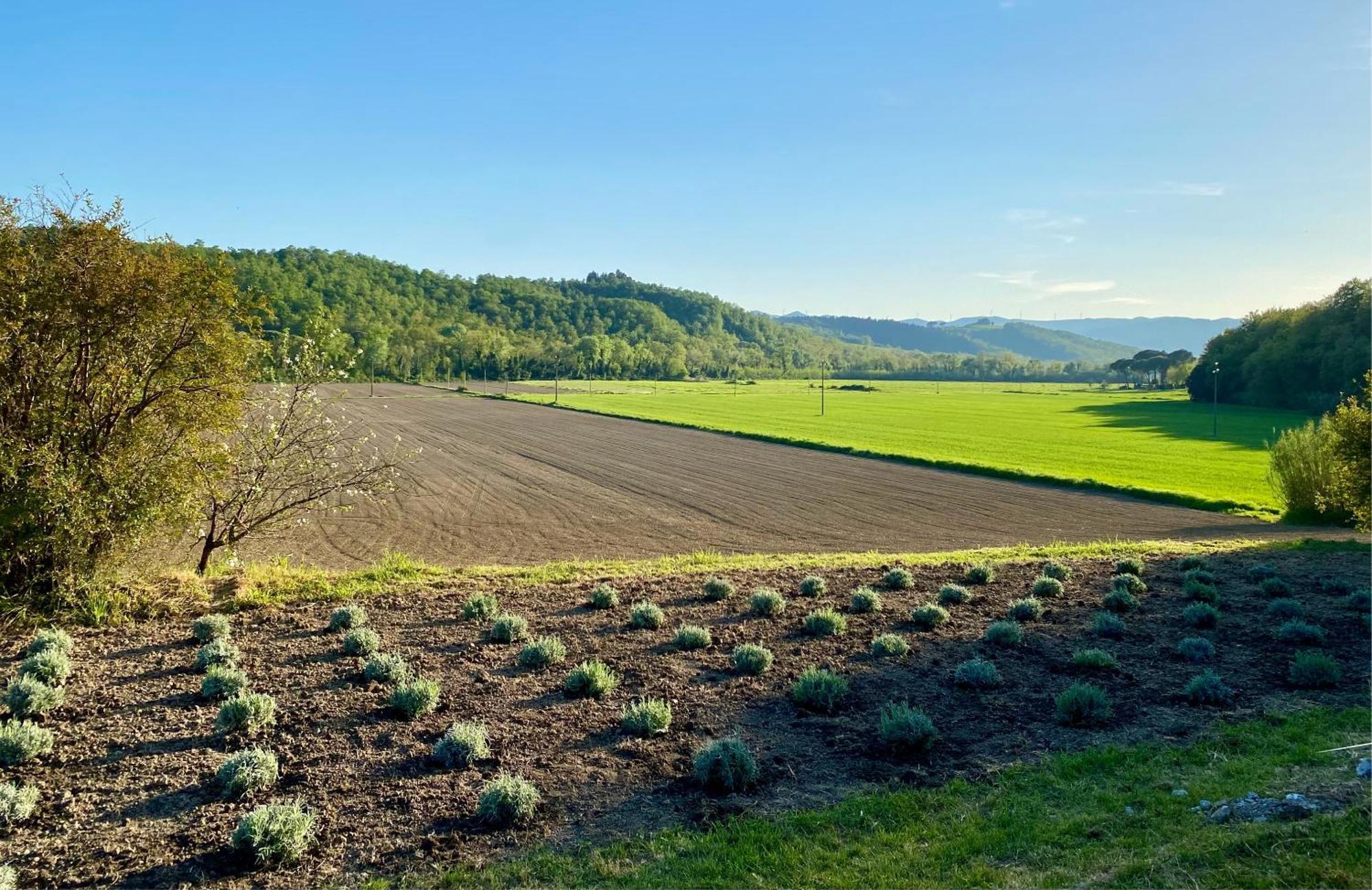 Casa Vacanze Podere San Giusto โวลแตร์รา ภายนอก รูปภาพ