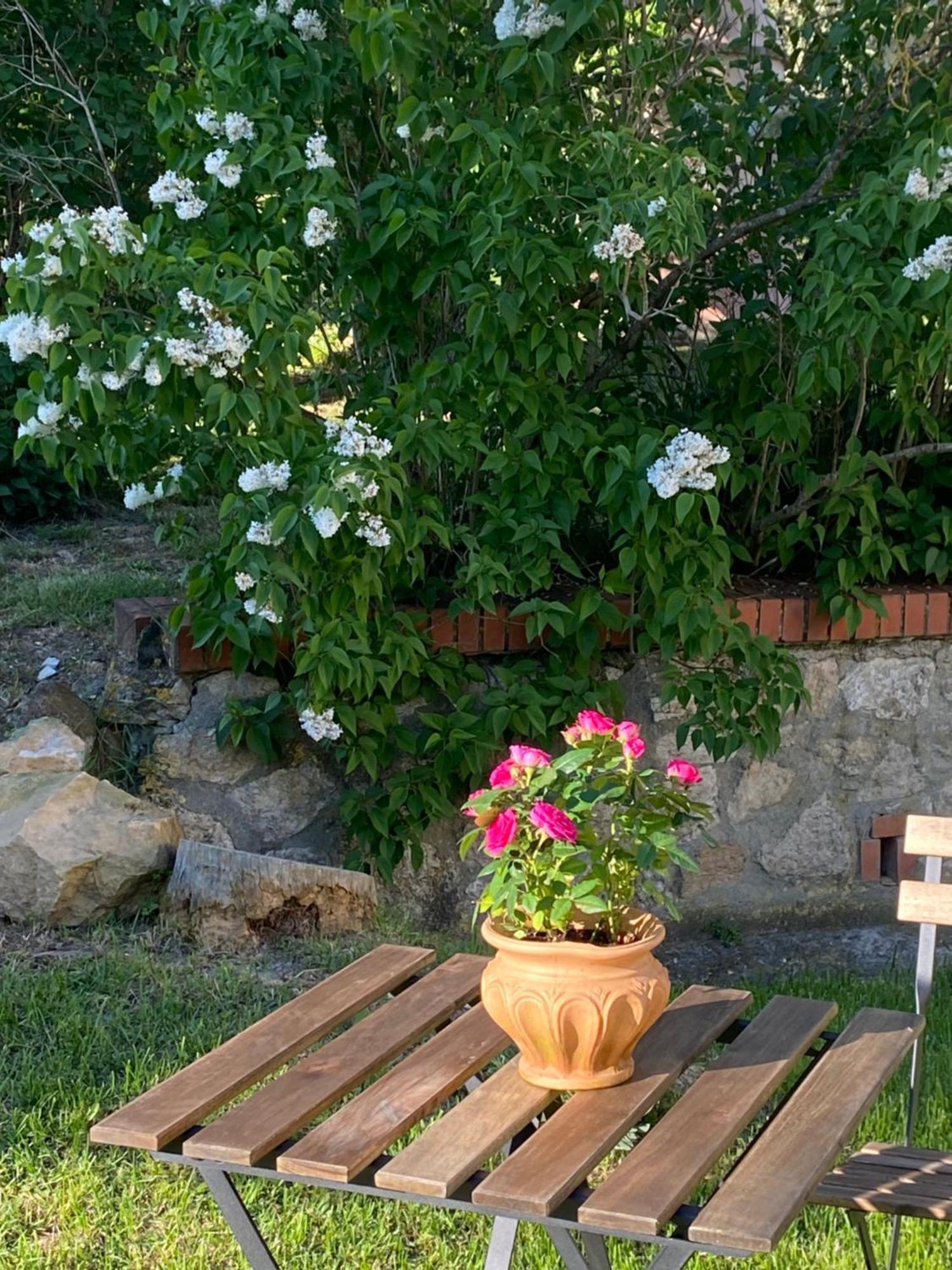 Casa Vacanze Podere San Giusto โวลแตร์รา ภายนอก รูปภาพ